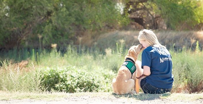 Donate you vehicle to Guide Dogs for the Blind