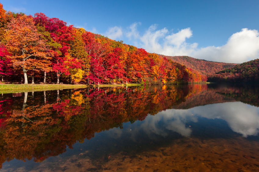 Lake in Fall